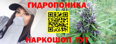 стаф Пушкино